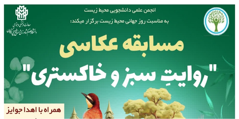 خبر